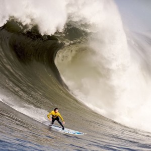 AYX GAMING-【马克·塞尔比】铁血防守战术的完美践行者，马克塞尔比的人生经历