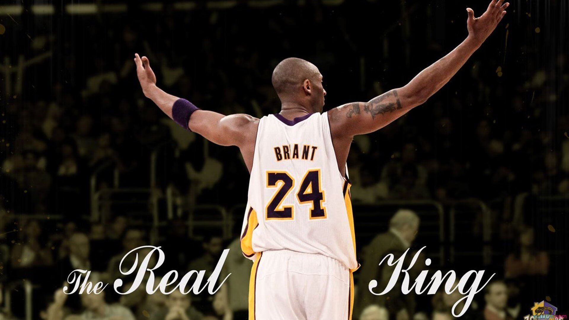 _国际战队赛：多国联军攻城略地_，国际联军组成